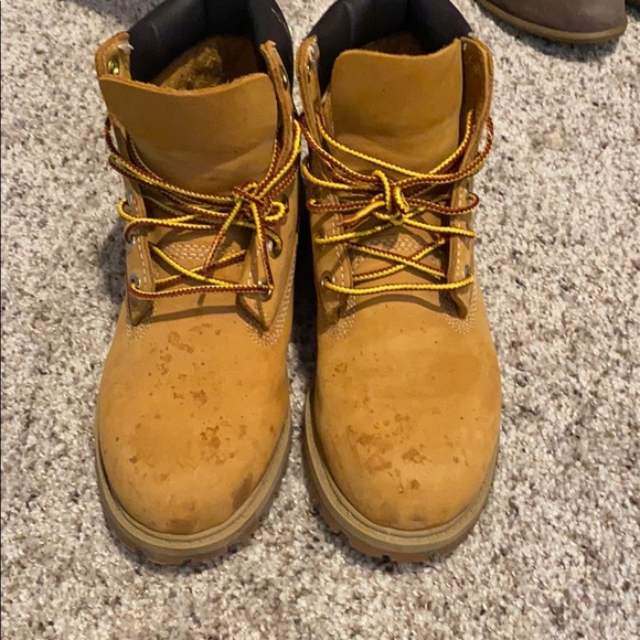 Timberlands - Picture 2 of 6